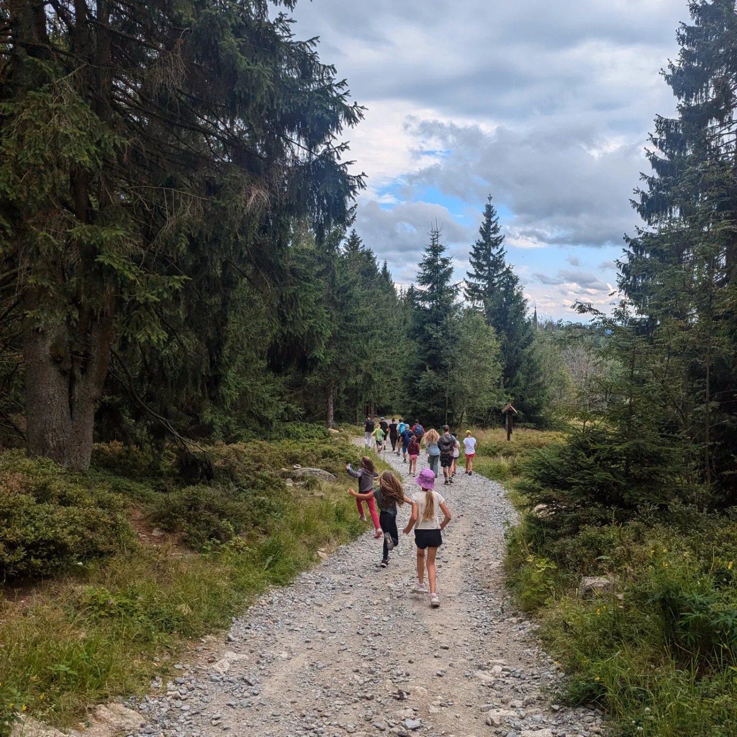 Děti na výletě v šumavském lese v pevné obuvi